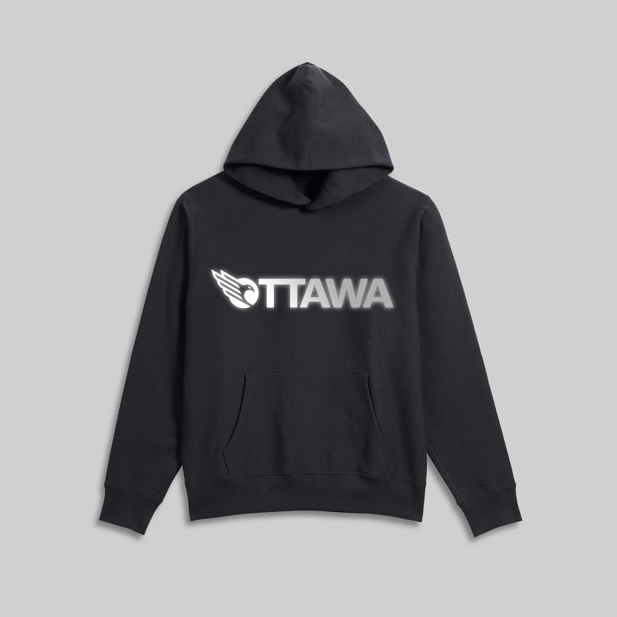 2026 Playoff Reflective Hoodie